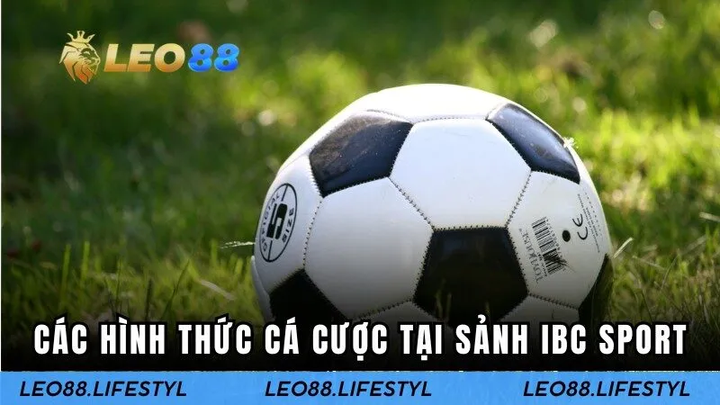Các hình thức cá cược tại sảnh IBC Sport