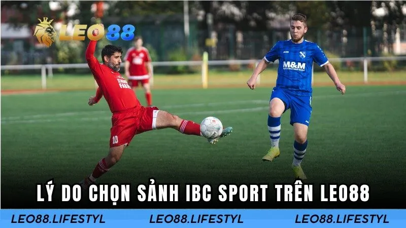 Lý do chọn sảnh IBC Sport trên Leo88