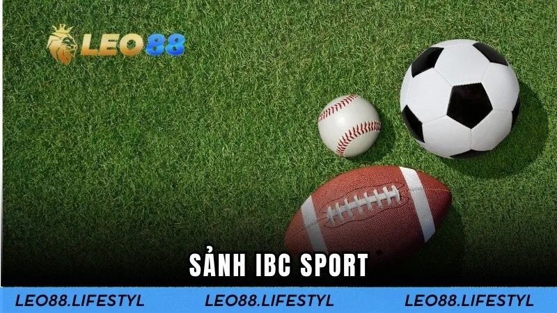 Trải Nghiệm Cá Cược Thể Thao Đỉnh Cao Tại Sảnh IBC Sport