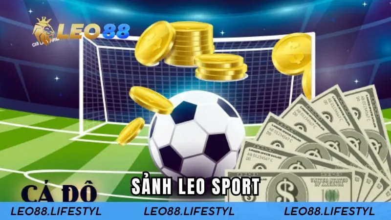 Sảnh LEO SPORT – Sân Chơi Thể Thao Đỉnh Cao Nhất 2025