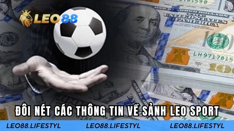 Đôi nét các thông tin về sảnh LEO SPORT