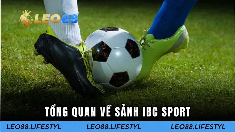 Tổng quan về sảnh IBC thể thao